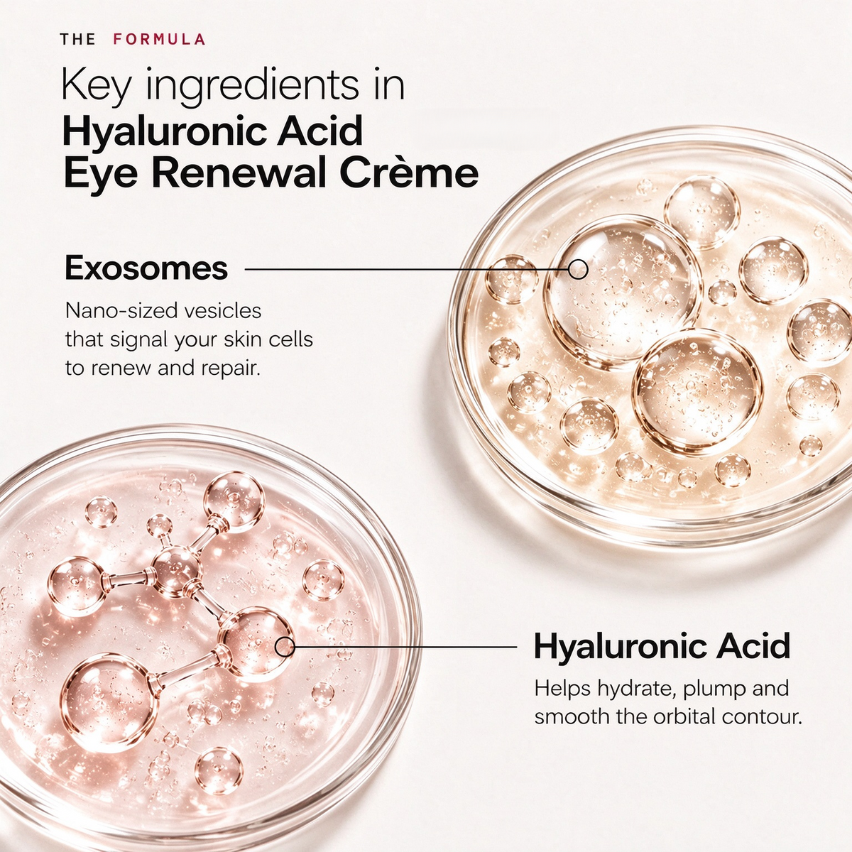 Eye Renewal Crème