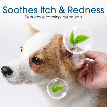 Rapidly Soothe Your Pet's Ear Discomfort