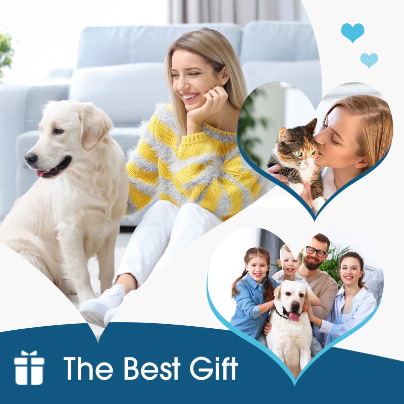 Rapidly Soothe Your Pet's Ear Discomfort